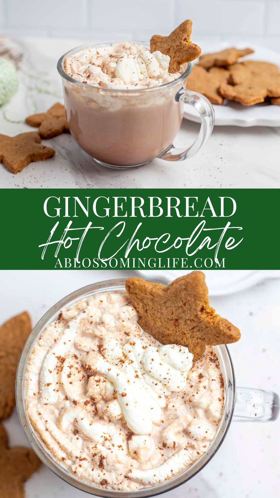 Gingerbread Hot Chocolate Recipe A Blossoming Life