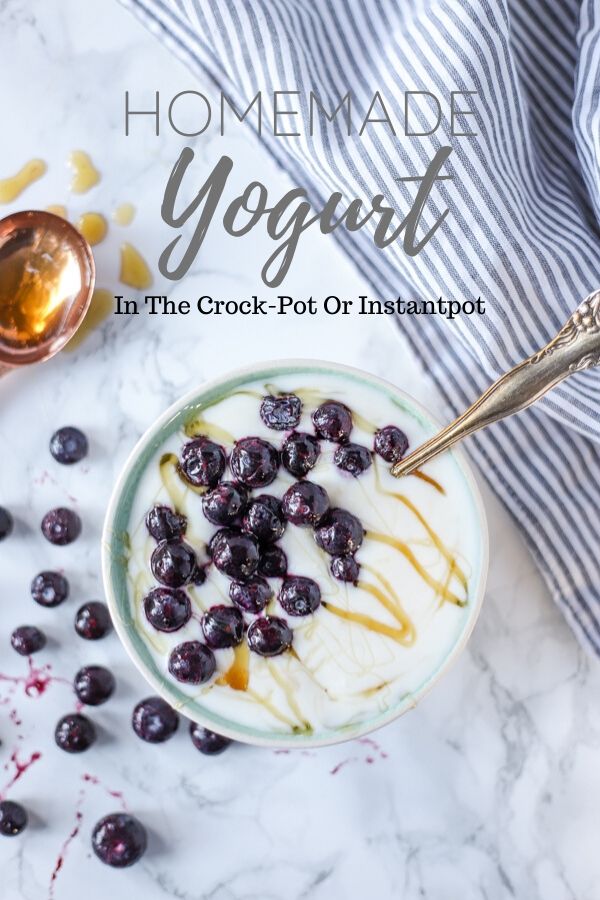 homemade yogurt in a teal bowl with frozen blueberries and honey sprinkled on top