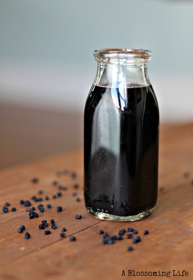 A Bottle of Elderberry Syrup with dried elderberries around