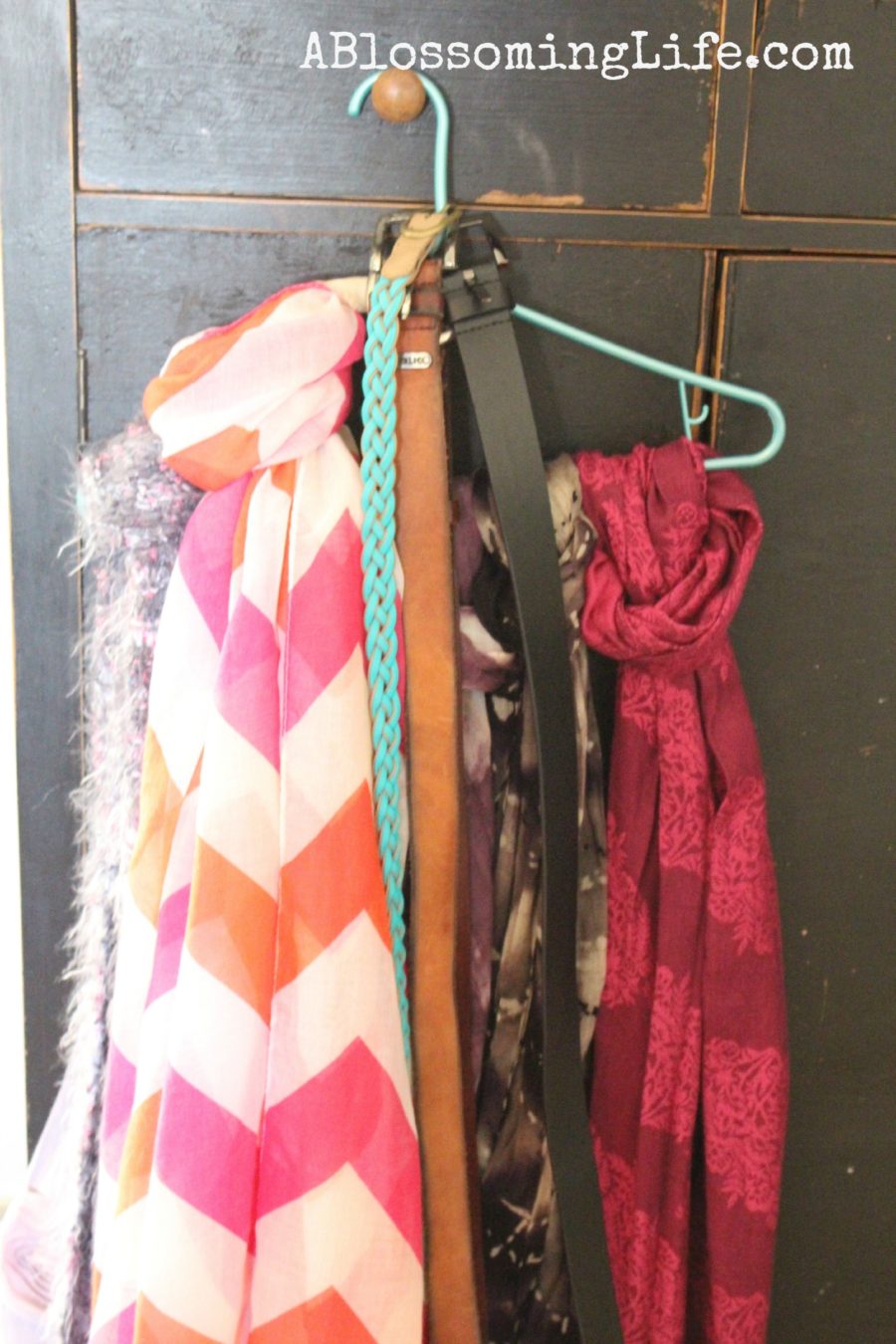 scarf and Belt Organization