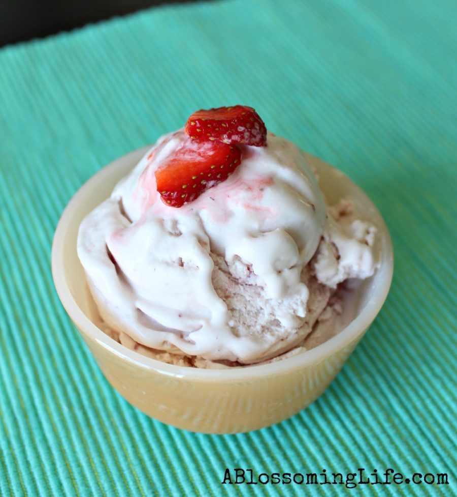 Coconut Strawberry Ice Cream 1