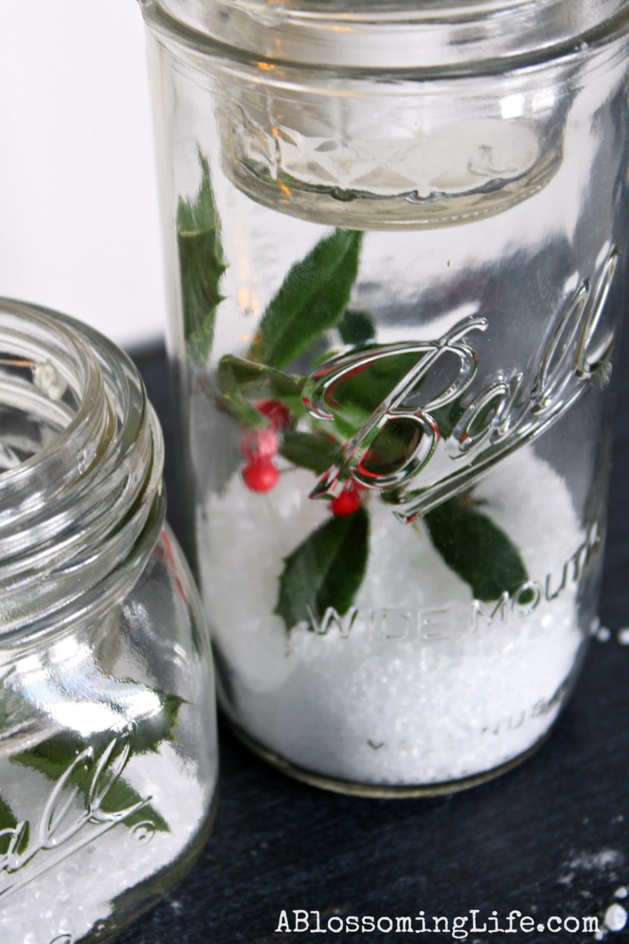 5 Unique Homemade Gifts in a Jar - A Blossoming Life