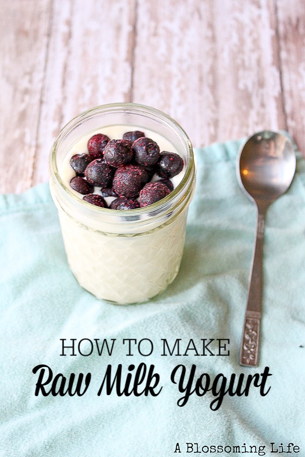 raw milk yogurt in a mason jar topped with frozen bluberries - how to make raw milk yogurt