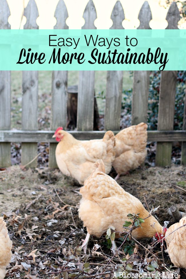 easy ways to live more sustainably