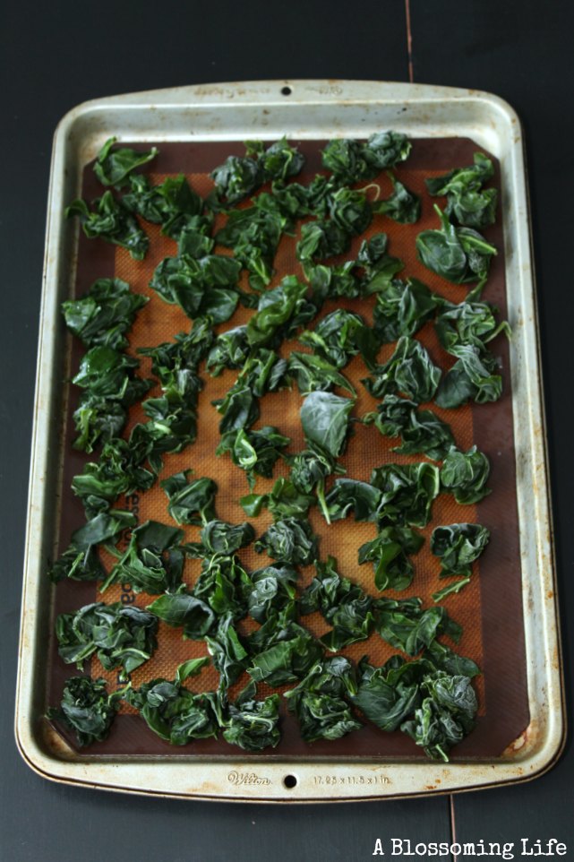 pre-cooked kale on a cookie sheet ready for freezing
