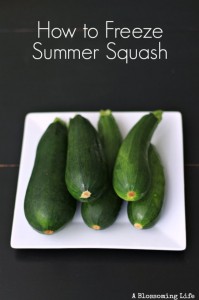 How to Freeze Summer Squash