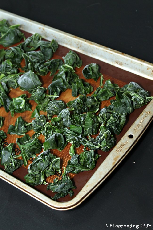 blanched kale on a baking sheet lined with a silicon mat