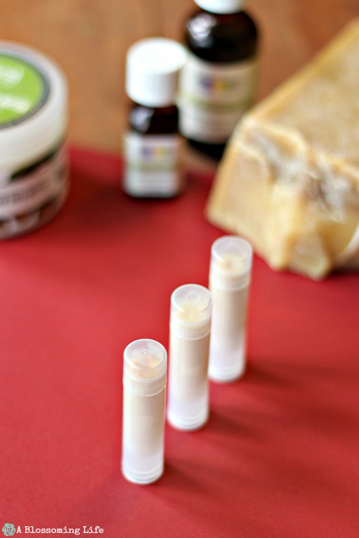 3 tubes of lip balm in a line with ingredients behind it