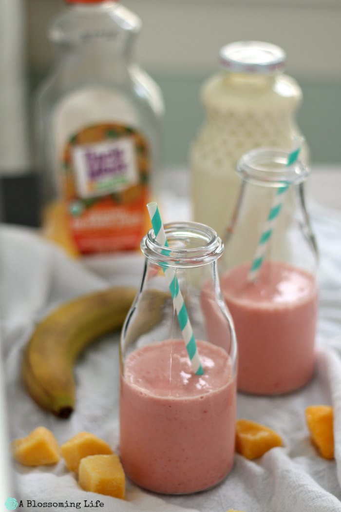 two orange mango smoothies in glass milk jars with straws on a table with ingredients around
