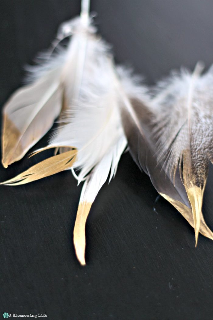 Gold Dipped Feathers