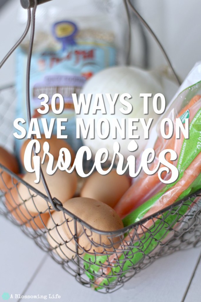 30 Ways To Save Money On Groceries - A Blossoming Life