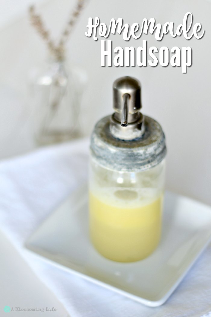 DIY liquid Hand soap on a white dish