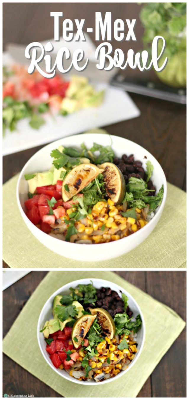 Tex-mex rice bowl long