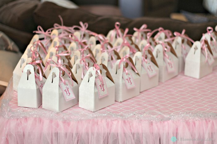 Grey and Pink Favors