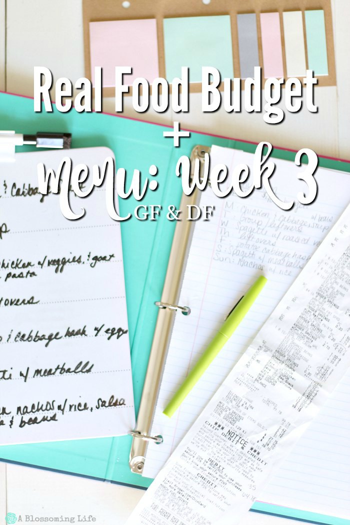 Real Food Budget + Menu- Week 3 GF:DF