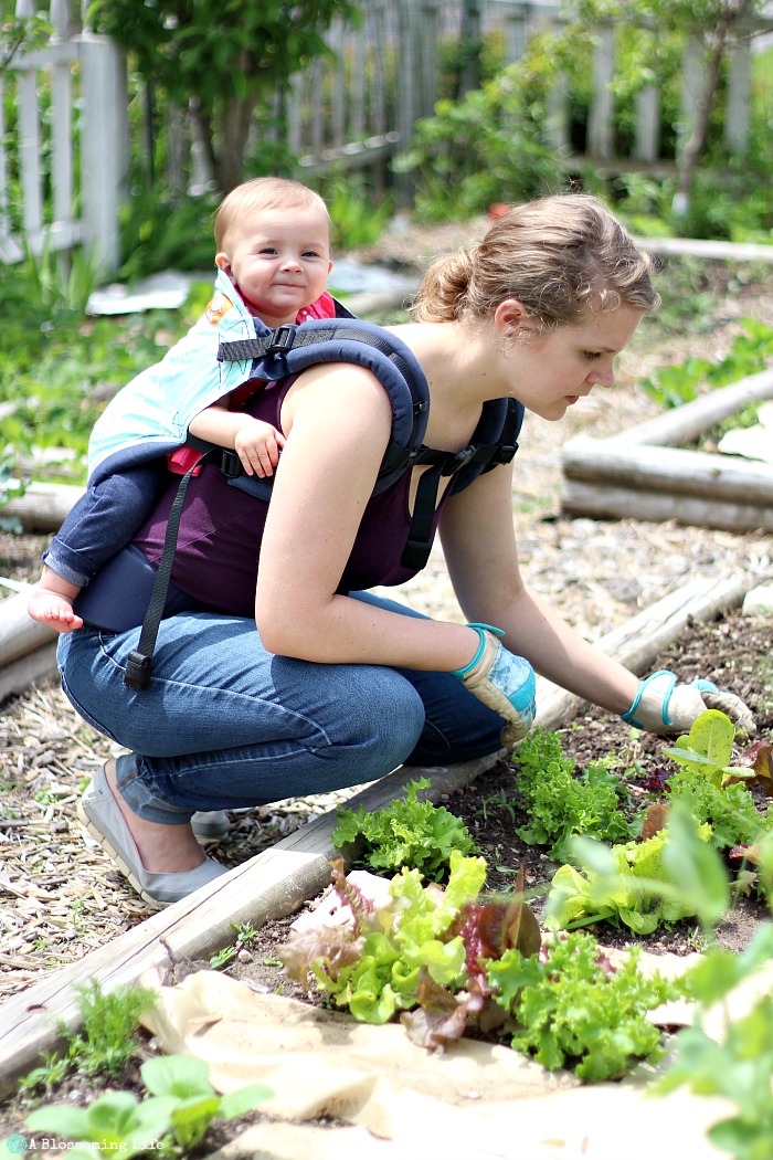 How to garden with a baby- wear them