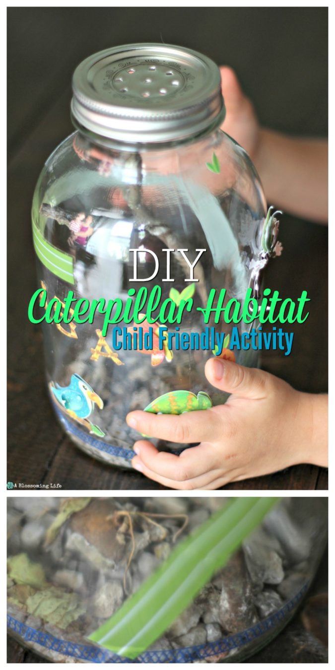 DIY Caterpillar Habitat - great activity for kids