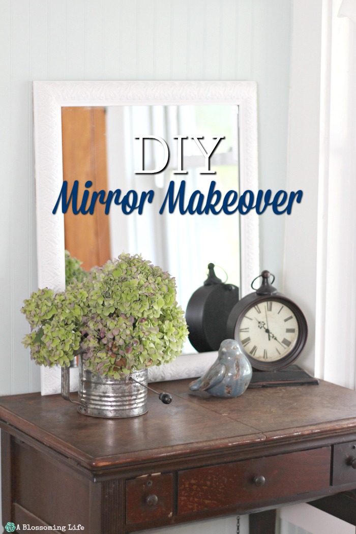 DIY Mirror Makeover