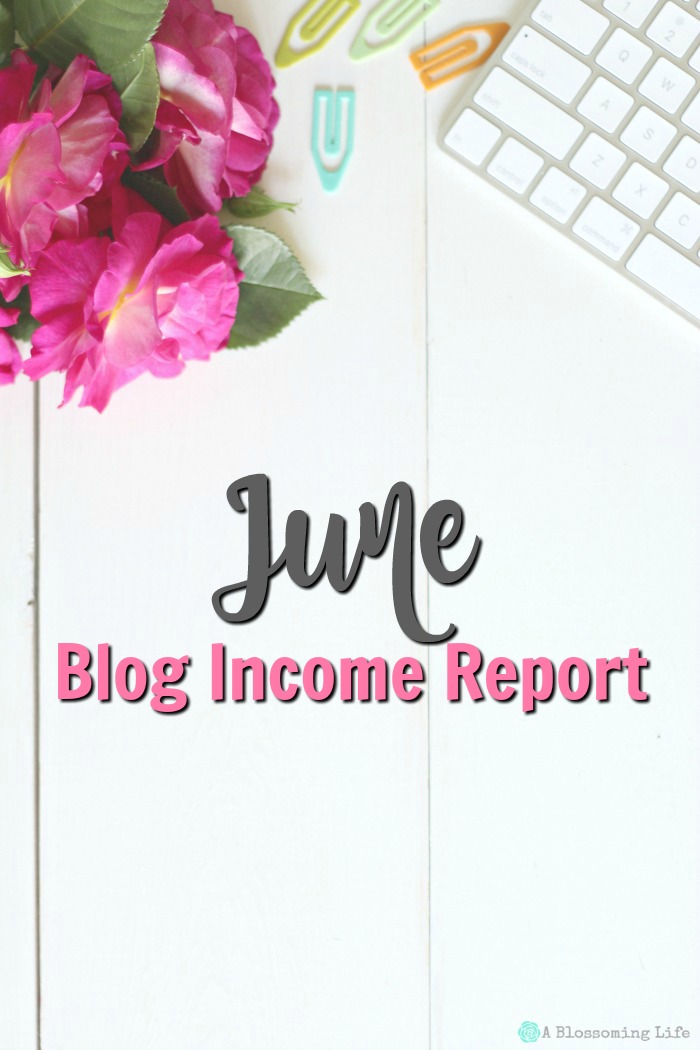 June Income Report
