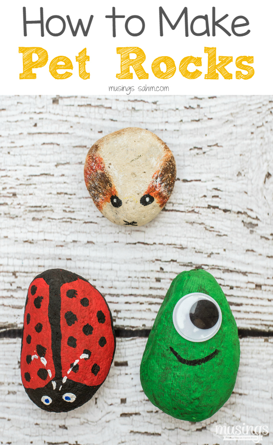 fall activities for preschoolers - picture of pet rocks