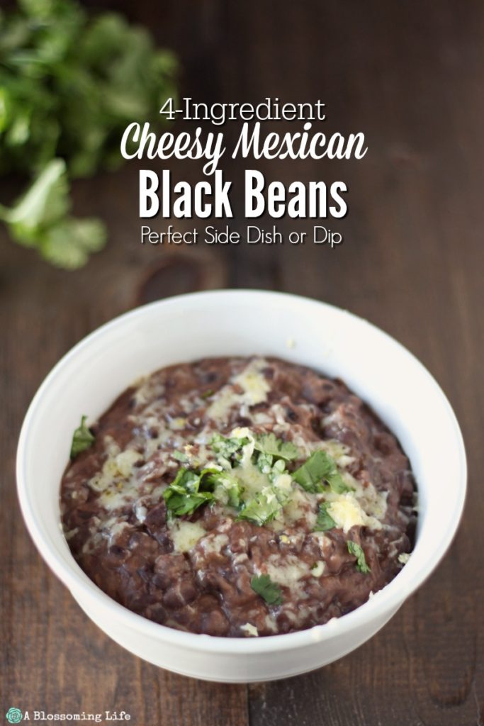 Cheesy Mexican Black Beans Recipe {Side Dish or Dip} - A Blossoming Life