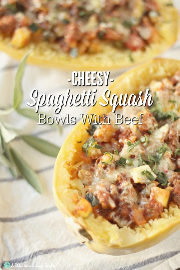 cheesy-spagetti-squash-bowls-with-beef