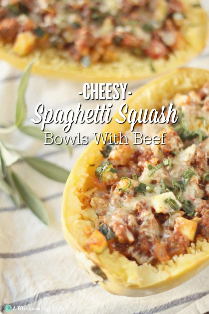 Cheesy Spaghetti Squash Bowl with Beef {GF}