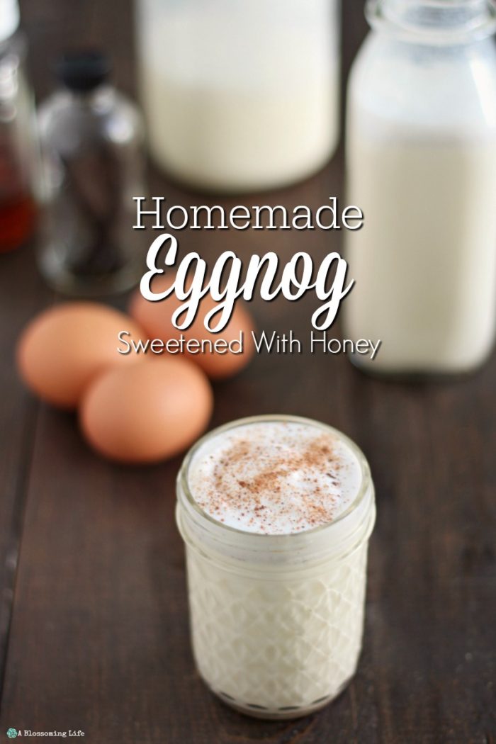 Homemade Eggnog Recipe – Naturally Sweetened