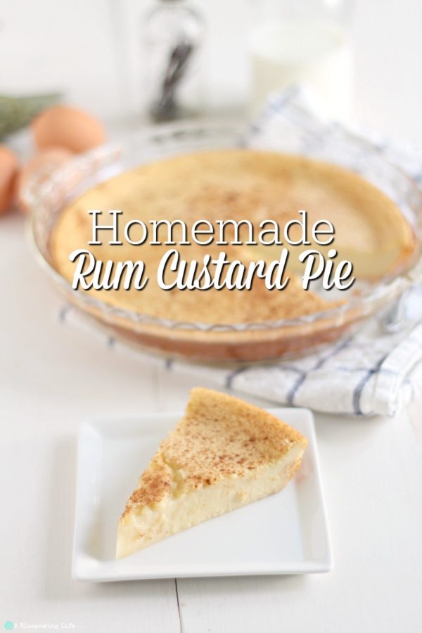 slice of creamy custard pie on a white plate with a whole pie on a white and blue towel in the background.