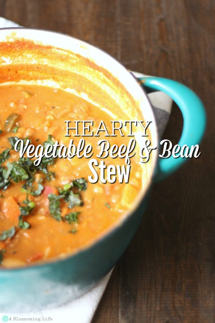 Hearty Vegetable Beef and Bean Stew