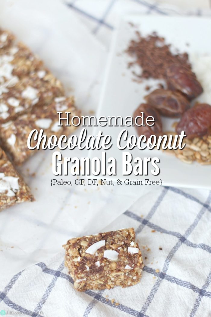 Homemade Chewy Chocolate Coconut Granola Bars {Paleo, GF, DF, & Nut Free}