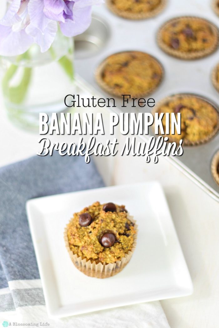 Gluten Free Pumpkin Muffins With Chocolate Chips