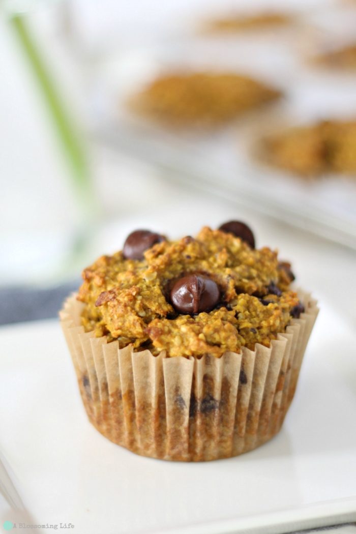 up close of a gluten free pumpkin muffin with chocolate chips with more muffins in a muffin tin behind it