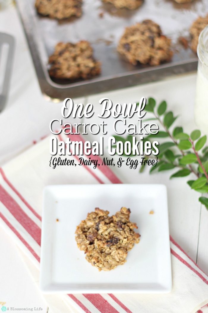 One Bowl Carrot Cake Oatmeal Cookies {Gluten, Dairy, Nut, and Egg Free}
