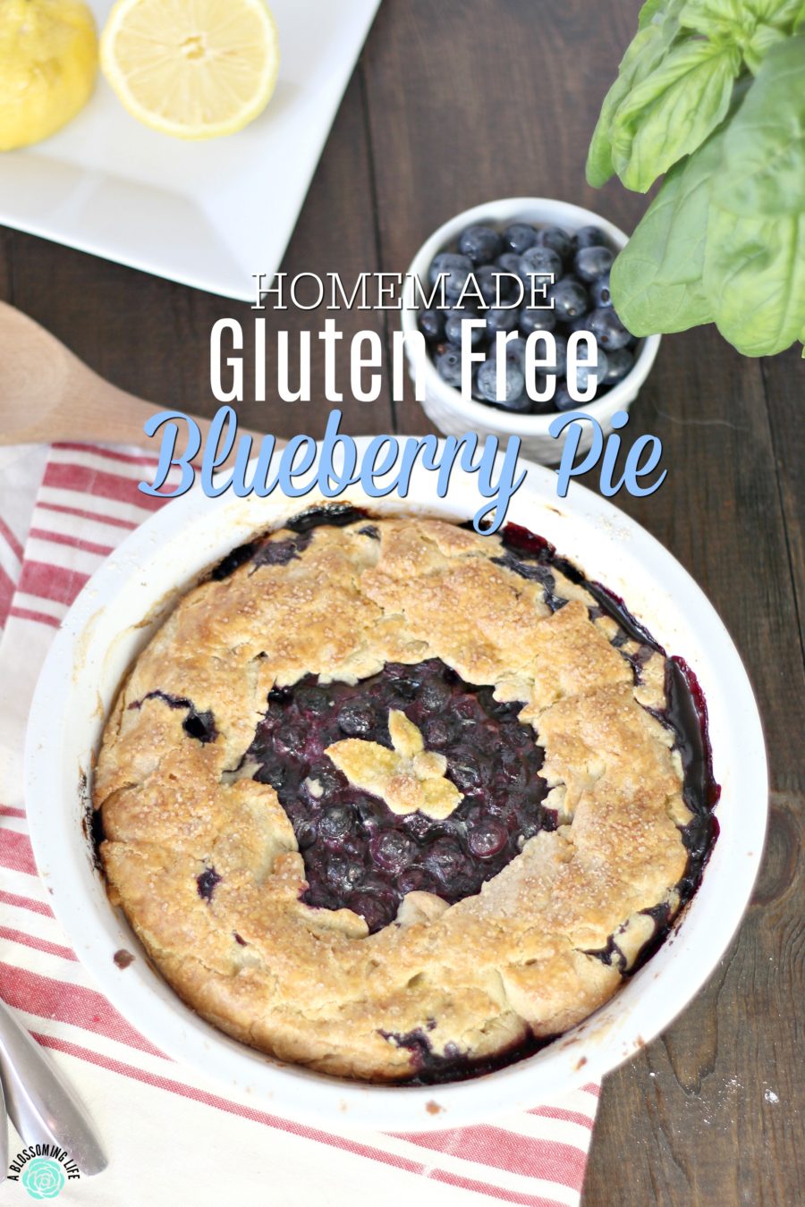 Homemade Gluten Free Blueberry Pie