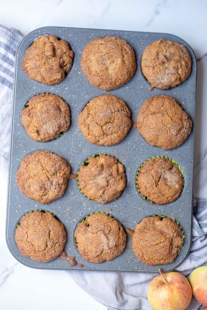 Gluten free cinnamon apple muffins out of the oven in a muffin pan.