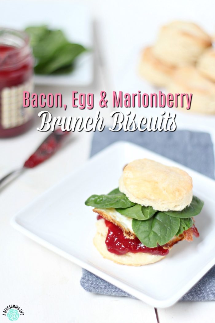 Bacon, Egg, and Marionberry Brunch Biscuits