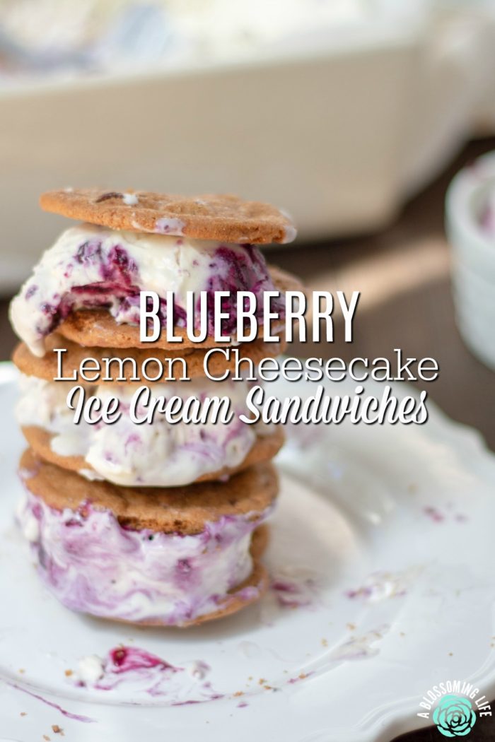 Ice Cream Sandwiches with Blueberry Lemon Cheesecake Ice Cream