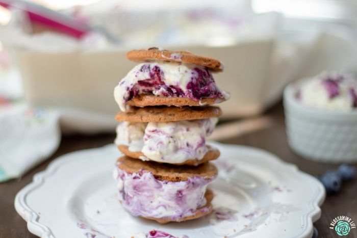 Ice cream sandwiches made with blueberry lemon cheesecake ice cream