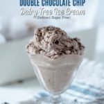 ouble Chocolate Chip Dairy Free Ice Cream