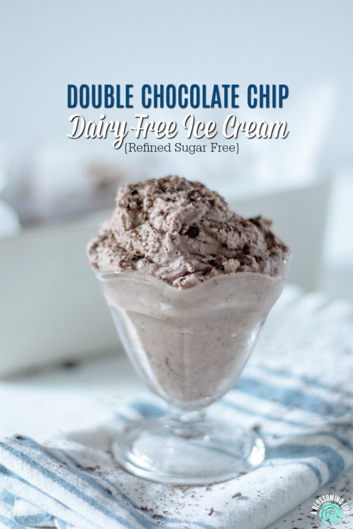 Double Chocolate Chip Dairy Free Ice Cream Without Ice Cream Maker