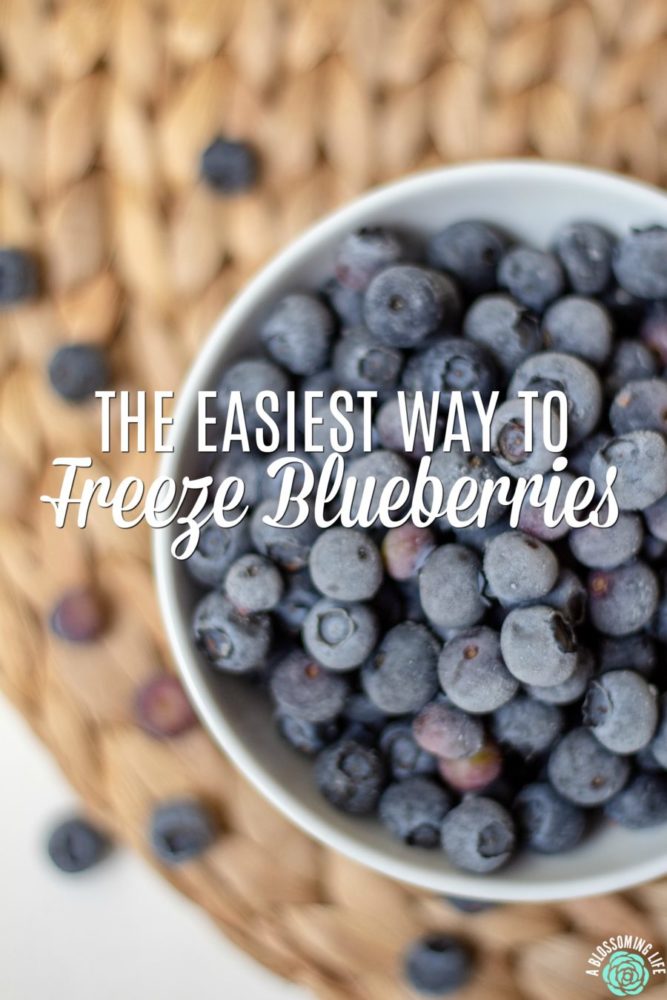 How To Freeze Blueberries The Easiest Way Ever A Blossoming Life