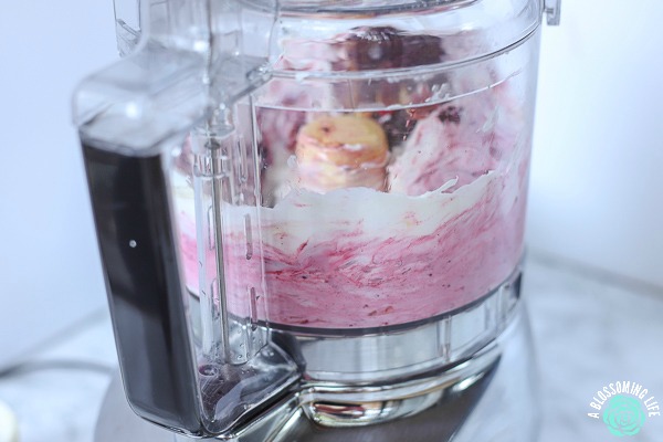 blending ingredients in a food processor to make frozen yogurt