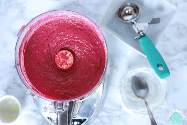 Homemade frozen yogurt in a food processor with ice cream scoop and white bowls next to it 