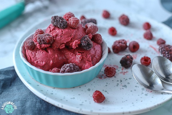 homemade frozen yogurt in a teal dish topped with blackberries and raspberries on a white speckled plate