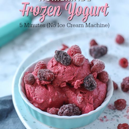 Frozen Yogurt Recipe (with Ice Cream Maker) 