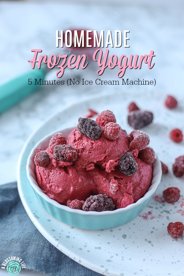 Homemade Frozen Yogurt – 5 Minutes (No Ice Cream Machine)
