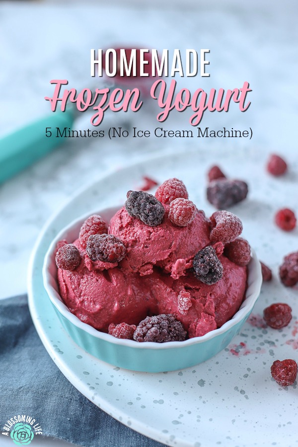 Frozen yogurt recipe clearance machine