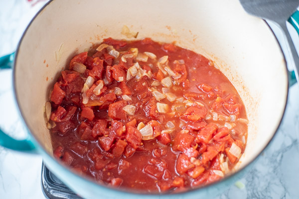 canned tomato with onions and garlic to make homemade tomato soup