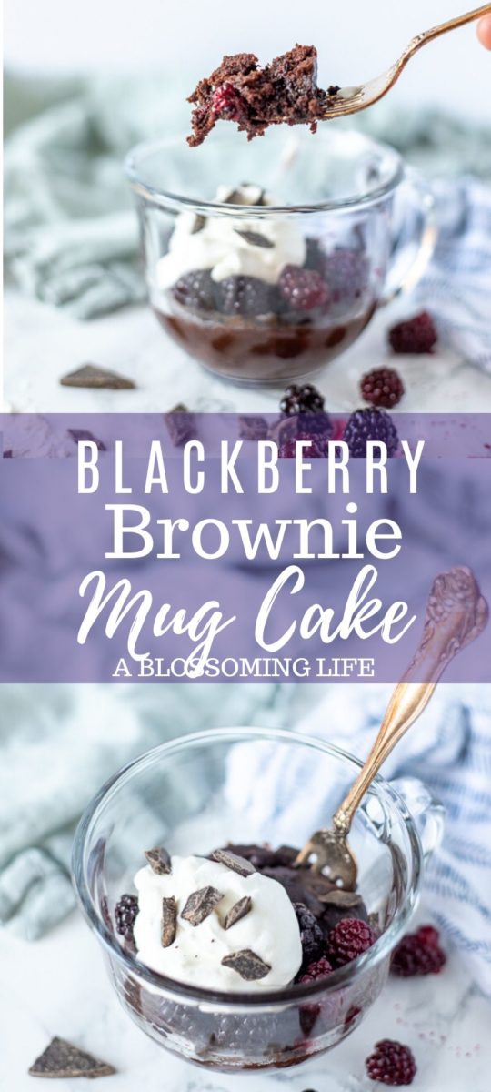 Blackberry Brownie Mug Cake - A Blossoming Life